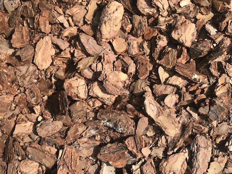 Step-by-step proper tree mulching technique showing correct depth and trunk clearance