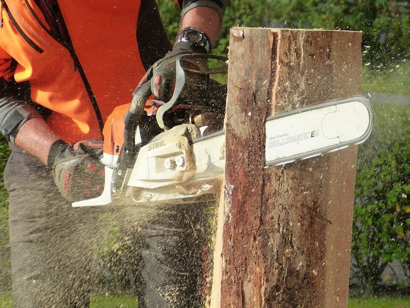 Professional tree removal in Huntsville Alabama