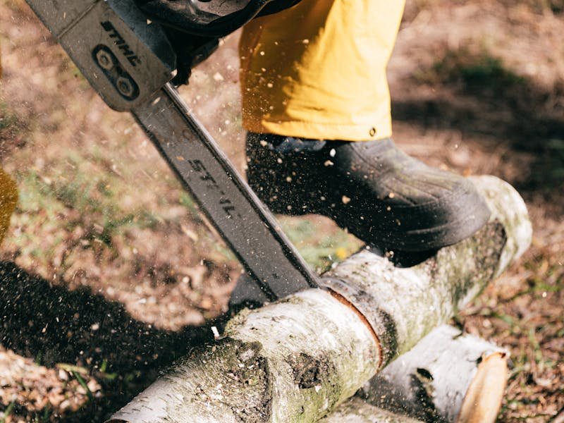 Chainsaw cutting through a large tree trunk during professional removal in Huntsville Alabama