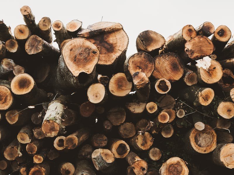 Arborist using a chainsaw to cut tree trunk sections after removing a large tree in Huntsville Alabama