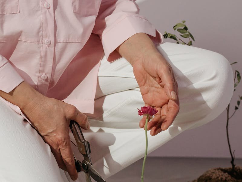 Garden pruning tools including loppers and hand pruners laid out for crepe myrtle pruning