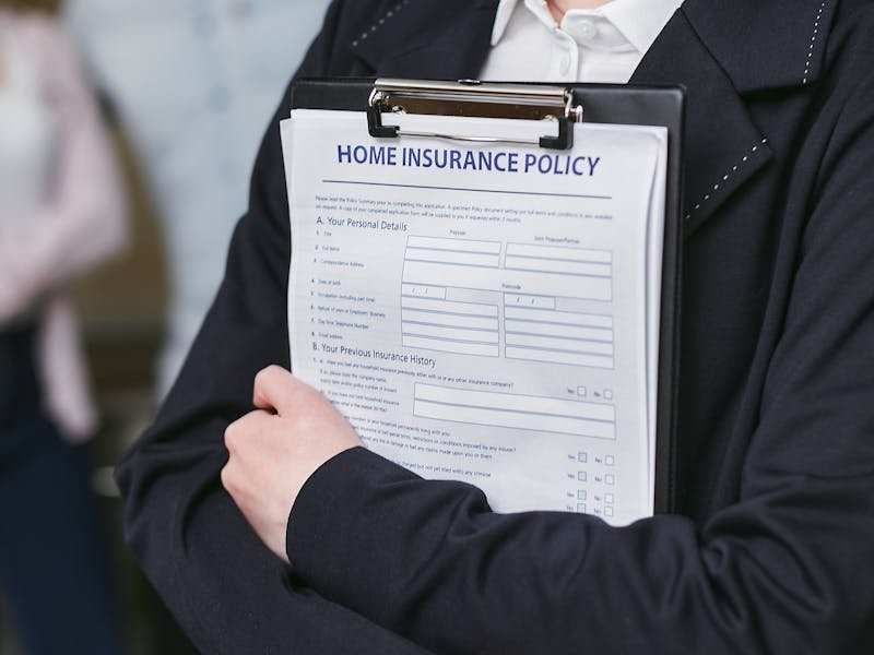 Huntsville Alabama residential backyard where professional insured tree service work is being performed