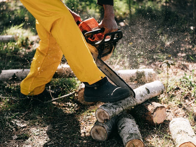 Tree service crew using a chainsaw to section a large trunk during a residential tree removal in Huntsville