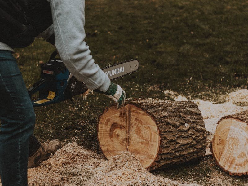 Stump grinding process Huntsville Alabama