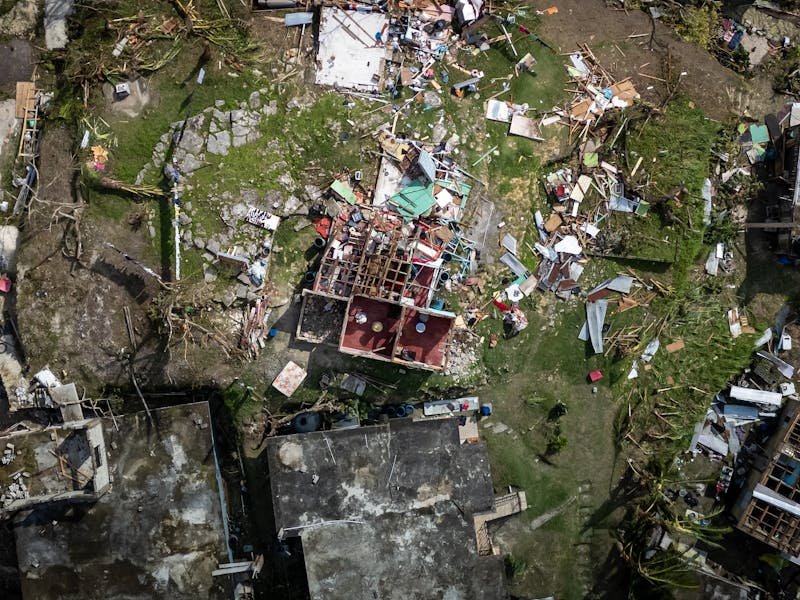 Tornado damage trees Huntsville