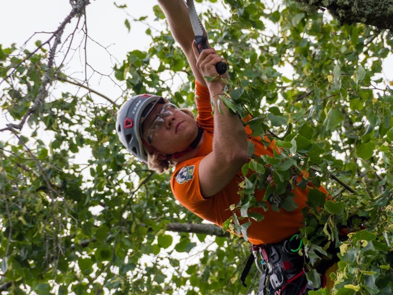 Professional trimming equipment including chainsaw used for tree pruning in the Huntsville area