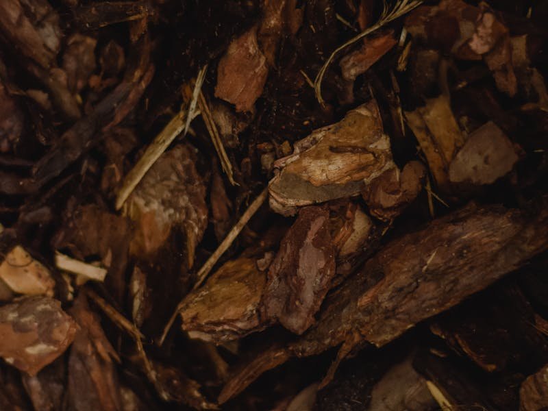 Pile of fresh wood chips produced by stump grinding machine on a Huntsville residential property