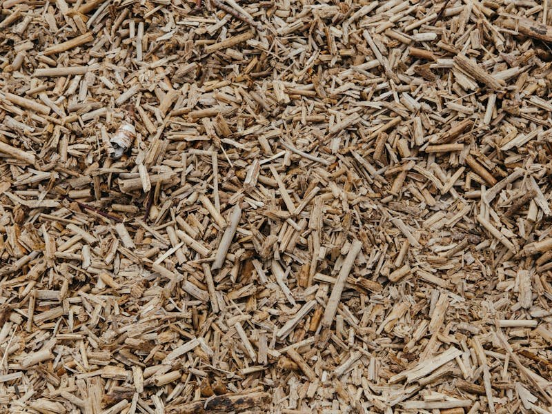 Proper tree mulching technique