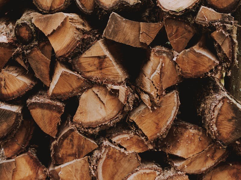 Backyard view of a Huntsville Alabama home with mature trees and natural landscaping features