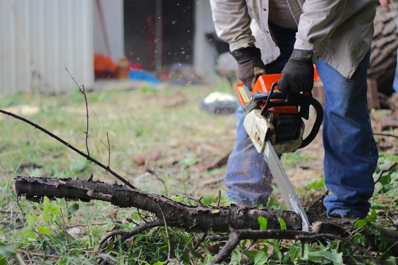 Tree removal in progress - arborist cutting tree with chainsaw